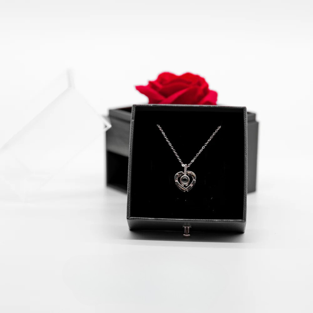 Rose preserved with Symmetrical Heart Necklace